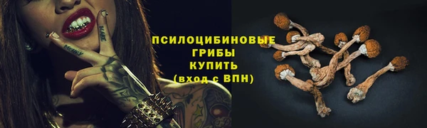 СК Арсеньев