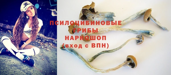 крисы Няндома