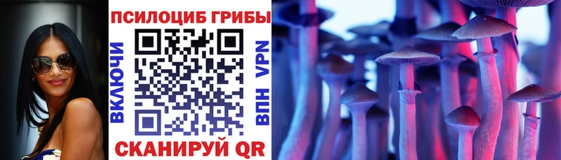 МЕГА вход  Салаир  Галлюциногенные грибы прущие грибы  продажа наркотиков 